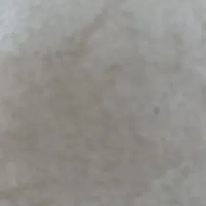 rayz 
