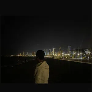 يوسف فارس الفارس 