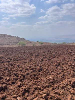 Mixed Use Land for Sale in Irbid Umm Qais