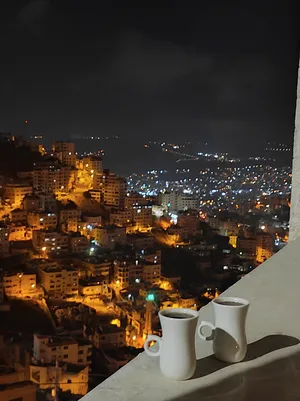 ٢ غرفتا نوم . حمّامين . 100 م٢1