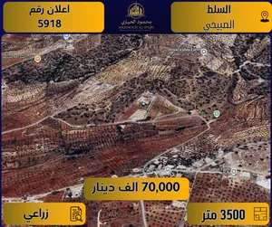 Farm Land for Sale in Salt Al Subeihi