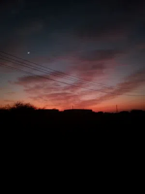 مازن 