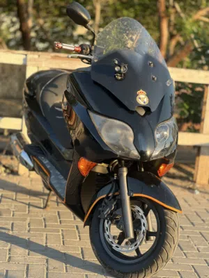 فورزا صفر عشره للبيع