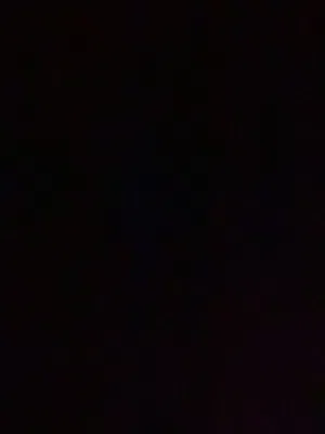 مطلوب جرو كني كورسا