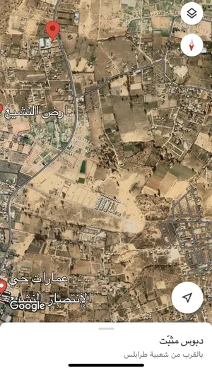ارض للبيع - 1000م - طرابلس