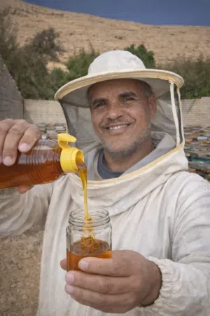 عبد الستار حامد راتب 