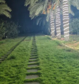 المتكامل للعقارات والسيارات 