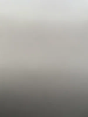 مطلوب غرفة برايفت