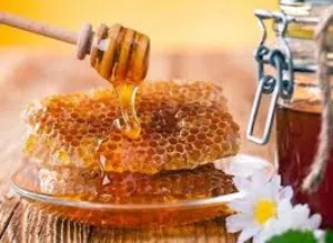 افوى عسل في الاردن عسل علاجي من الدرجة الاولى