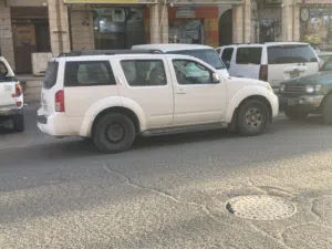 نيسان باثفندر