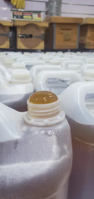 عسل مراعي جودة ممتازه جداً لون وطعم ورائحة