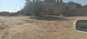 قطعه ارض ممتاز وسكنية ب حي سكني راقي  يوجد لها مدخلين ويوجد فيها اثنان من. الزيتون  وبئر مشترك