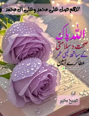 sheraz gillani 