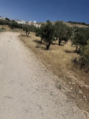 Mixed Use Land for Sale in Zarqa Um Rummanah