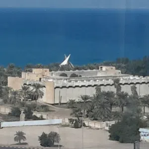 زيد 