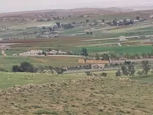 Mixed Use Land for Sale in Mafraq Hayyan Rwaibed