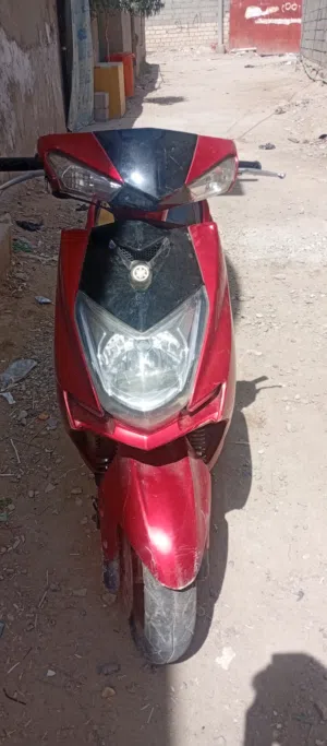دراجه سكنس فحل للبيع