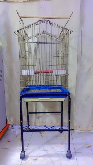 قفص معه الستان + مبرد الشراي يراسل وتساب