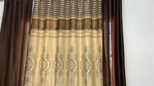 برداي مع الجسر