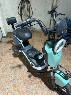 دراجة شحن للبيع