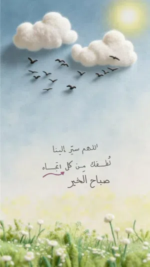 قطعة ارضة السيدة عائشة1600