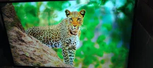 شاشه ماجيك 55 سمارت