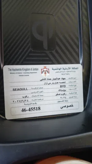 سيارة byd segul 2024 للبيع مسافة مقطوعة 35000