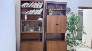 مكتبتين وشجرة