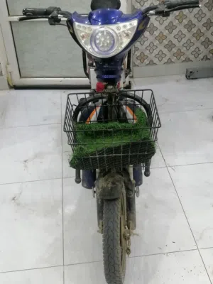 دراج كهربائي