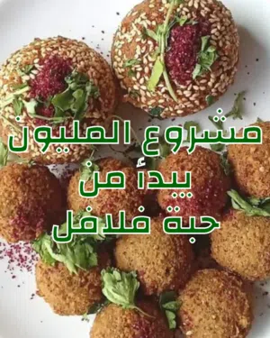 مشروع المليون يبدأ من حبة الفلافل - مشروع إستراتيجي - مطلوب شريك ممول