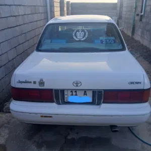 كراون الأرنب طويل لون ابيض موديل 95