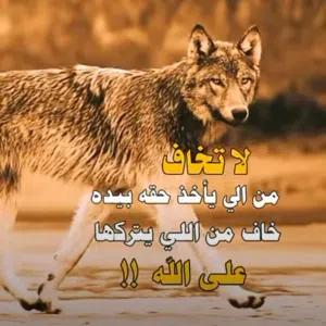 ابومحمد 