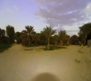 Farm . 755 m2 . Agent3