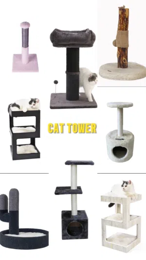 Cat Tower and house
