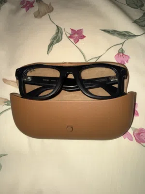 Meta glasses wayfarer