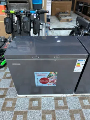 Congerateur Goldenstar 240 litre gris  Économie  Taille:  73cm/53cm Prix  La livraison gratu