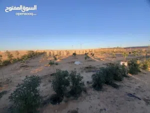 ارض  فرصه استثمارية في البريك