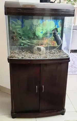 Aquarium with external filter for sweet/salt water by whats app in Description