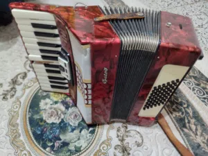 آلة من آلات الفن العريق اكرديون galotta