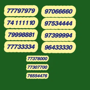 Ooredoo VIP mobile numbers in Muscat