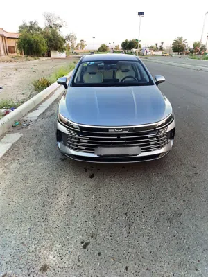 بي واي دي دستروير