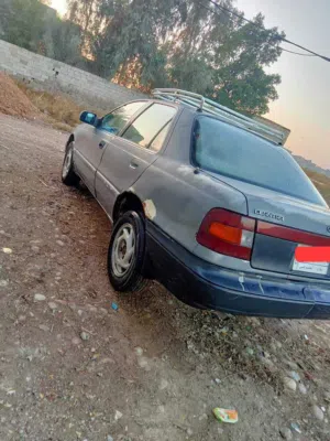 النترا مسطره