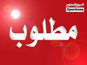 مطلوب فحل هجين قبرصي درجة اولا