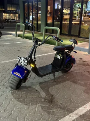 Electric Scooter Harley