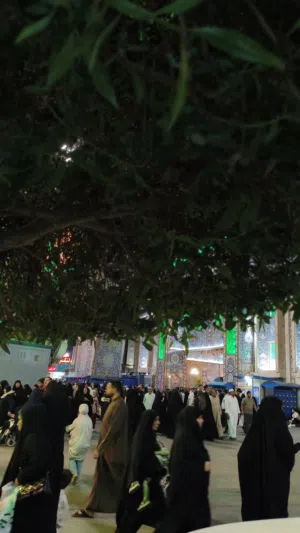 حـسين الـ عباس 