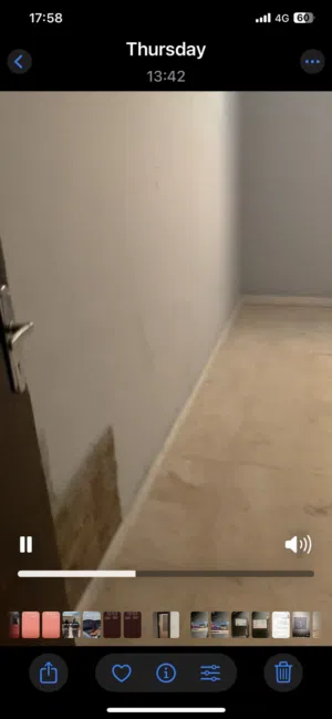 شقه سكنيه 100 م مع منافعهم للبيع