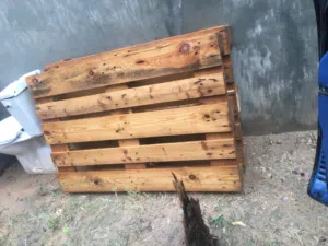 قابية لوح 2