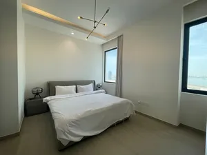 Amazing Luxury apartment for rent