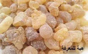 خليفةةةةةةةةة البللللللللل 