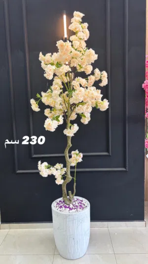 وردة اللوز